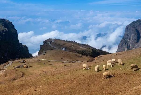 云南冬天适合旅游吗 去哪里旅游比较好