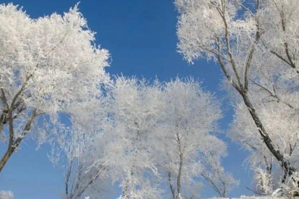 雾凇岛冬季赏雪时间