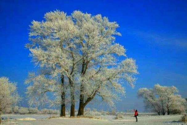 雾凇岛冬季赏雪时间