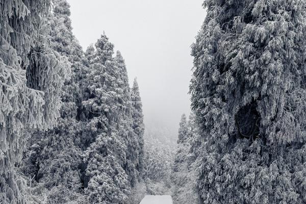 重庆周边有哪些赏雪比较近的地方