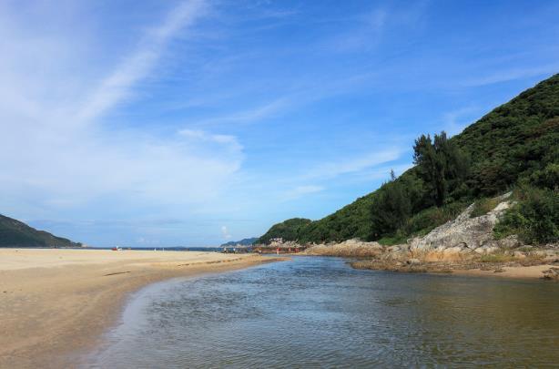 深圳蓝眼泪最佳观赏地点