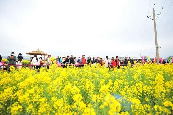 楚雄春节有哪些赏花的地方