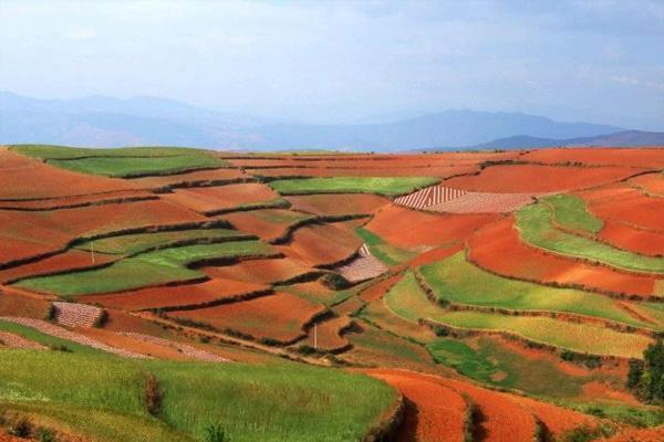 东川红土地最佳旅游时间是几月份 附红土地拍摄攻略