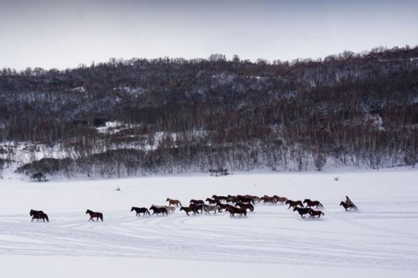 内蒙古看雪景的地方有哪些