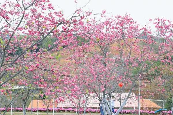 揭阳春季旅游景点推荐