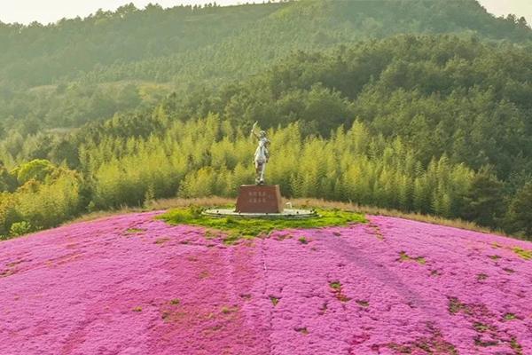 2024武汉免费景点门票在哪里领(湖北文旅惠民券）