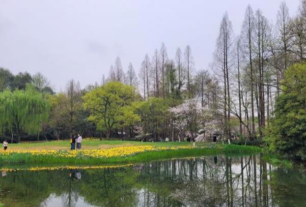 杭州适合野餐的地方推荐一下