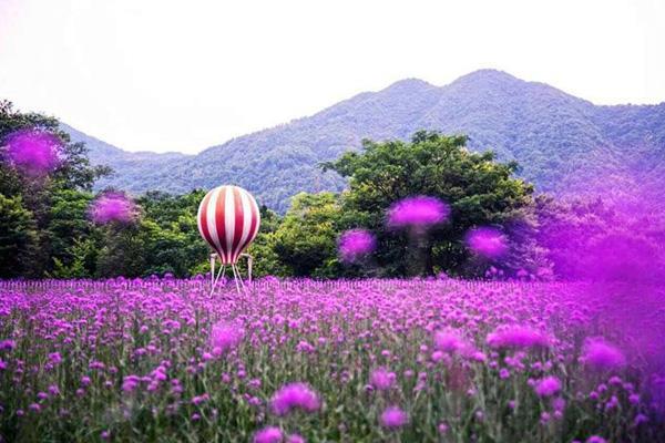 台州哪里踏青比较好