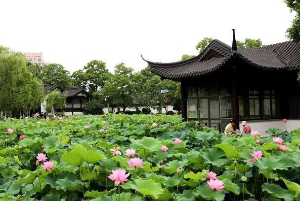 南京夏天赏花景点有哪些
