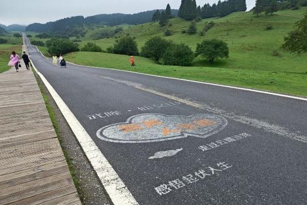 武隆仙女山一日游最佳路线