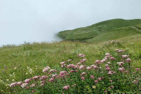 毕节韭菜坪门票优惠免票政策