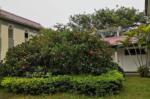 2024茂名森林公园游玩指南