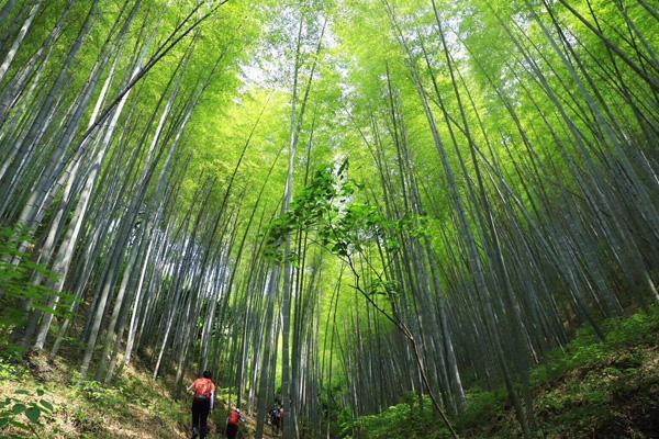 常州爬山哪里风景最好