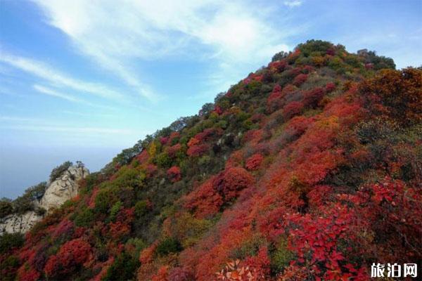 西安周边秋季旅游推荐 西安周边秋景最好地方推荐