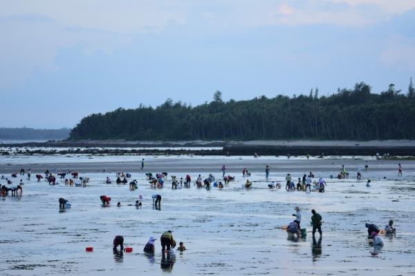 三亚赶海时间和最佳地点