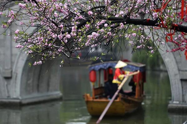 枣庄哪里可以看梅花