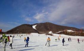 商量岗滑雪场门票是多少  商量岗滑雪攻略