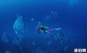 水肺潜水是什么 水肺潜水如何呼吸