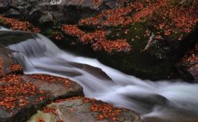 2017光雾山红叶节最好的拍摄地点和时间