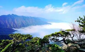 神龙架在哪儿  神龙架夏季平均气温是多少度