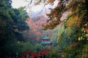 长沙岳麓山旅游攻略及门票