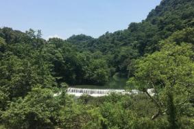 东莞大岭山森林公园门票多少钱 大岭山森林公园景点介绍