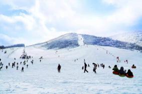 2022神农架四大滑雪场开放时间
