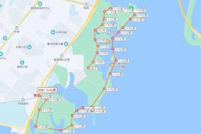 武汉东湖绿道骑行攻略 这8大路线大家可以试试