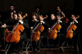 2022年南京跨年夜有什么活动 南京跨年音乐会汇总