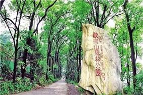 重庆歌乐山国家森林公园旅游攻略