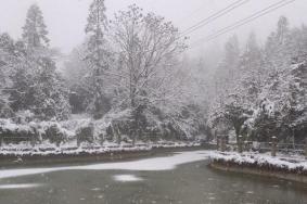 重庆小众看雪的地方 超美风景地推荐