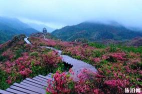 攀枝花龙头山在哪里