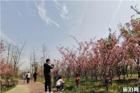 南通景区2020年景区都有哪些优惠信息 医护-警察