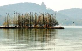 武汉东湖哪个景区最好玩?首选东湖绿道二期