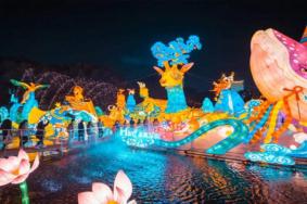 2022深圳跨年灯会活动有哪些-灯会详情