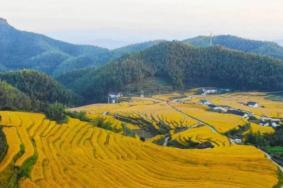 上堡梯田最佳观赏季节