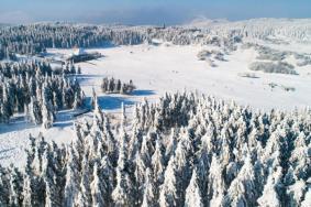 重庆八大赏雪的好地方