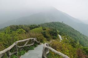 深圳网红打卡旅游景点在哪里 有哪些