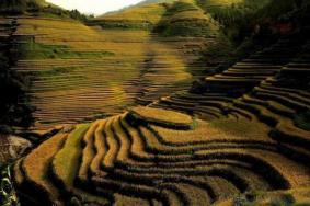 贵州加榜梯田最佳旅游时间