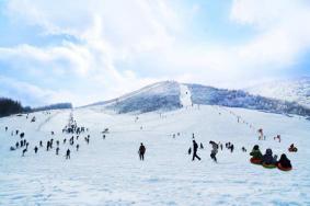神农架每年什么时候开始下雪?什么时候开始滑雪?