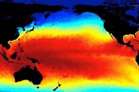 拉尼娜和厄尔尼诺区别