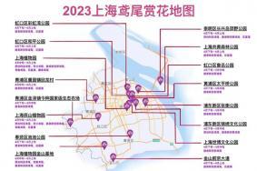 2023上海鸢尾花赏花地图 活动时间