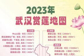 2023武汉赏莲地图