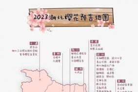 2023湖北赏樱花的地方有哪些 这份赏樱地图请收好