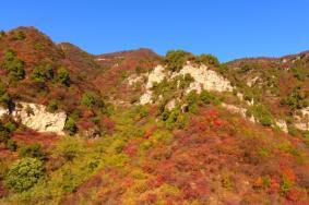 河北秋天适合去哪儿旅游