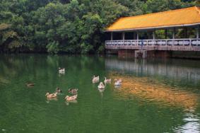 肇庆避暑好地方 夏天适合在肇庆哪个景点游玩