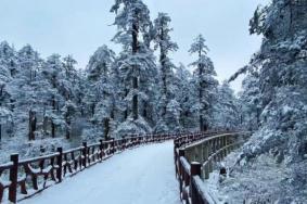 瓦屋山冬天有雪吗