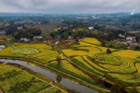 2023江津黄庄油菜花节时间+门票+游玩攻略