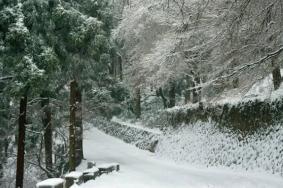 上海周边赏雪的地方推荐