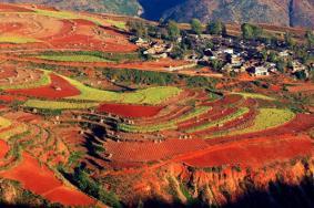 东川红土地最佳旅游时间是几月份 附红土地拍摄攻略